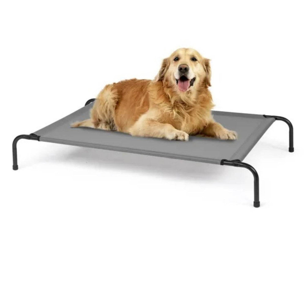 50D X 31W X 8H Dog Bed - EX-STOCK Canada