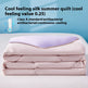 Pure Color Cool Silk Summer Blanket Airable Cover Single Double Summer Ice Cream Ice Silk Summer Quilt Machine Washable Thin Duvet EX-STOCK Canada