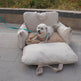 Pet Booster Seat - Cat and Dog Car Seat  Front seat - EX-STOCK Canada