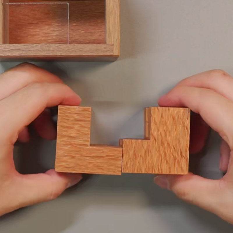 Einstein Lock Wooden Puzzle International Braised Brain Decompression - EX-STOCK Canada