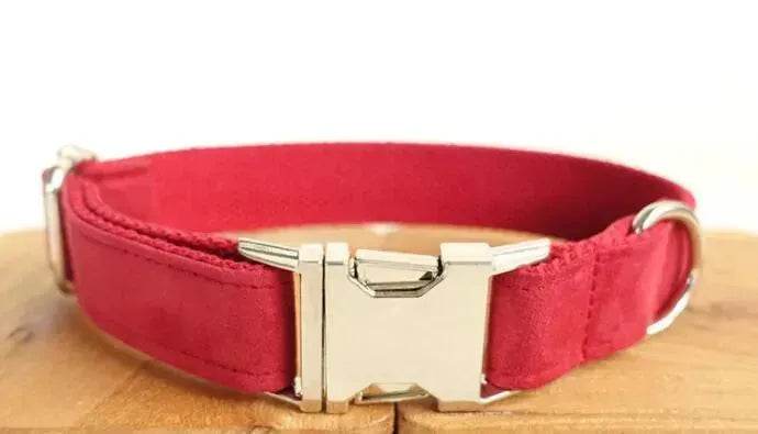 Pet Traction Collar Tactical Dog Collars - EX-STOCK Canada