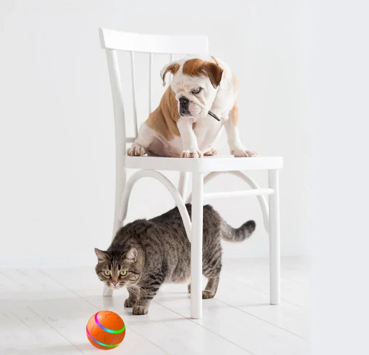 Pet New Cat Wicked Ball Toy Intelligent Ball USB Cat Toys Self Rotating Ball Automatic Rotation Ball EX-STOCK Canada