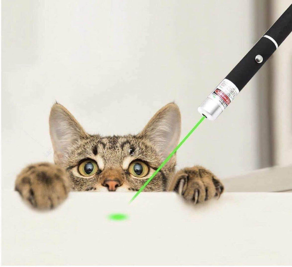 Pet Toy Green Laser Pointer Pen Light Single Beam High Power Lazer Flashlight 900Miles 1mW 532nm Torch - EX-STOCK Canada