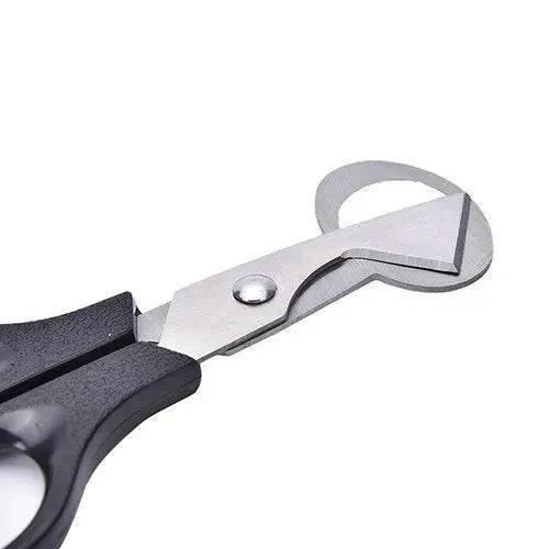 Pigeon Quail Egg Scissor Bird Cutter Opener Kitchen Tool - EX-STOCK Canada