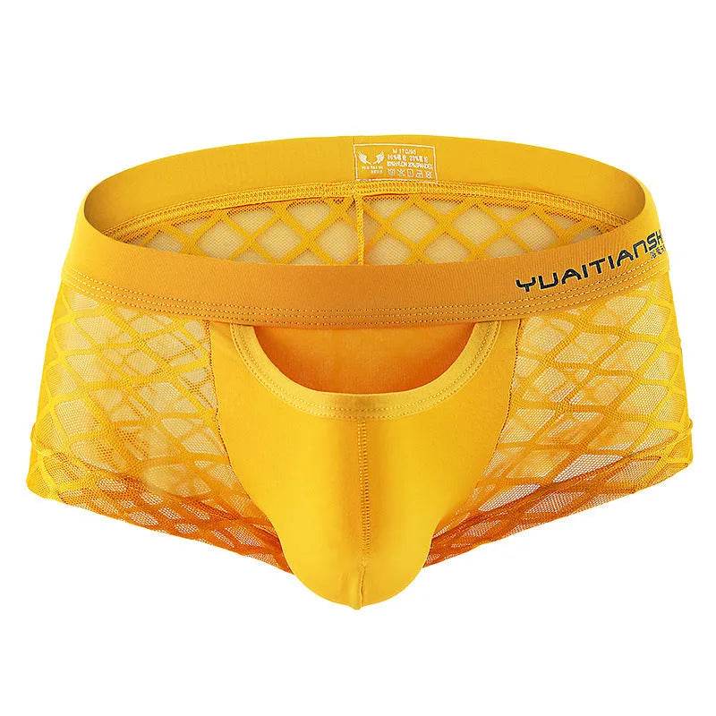 All- match Men's Underwear Breathable Nylon Mesh Boxer Briefs - EX-STOCK Canada