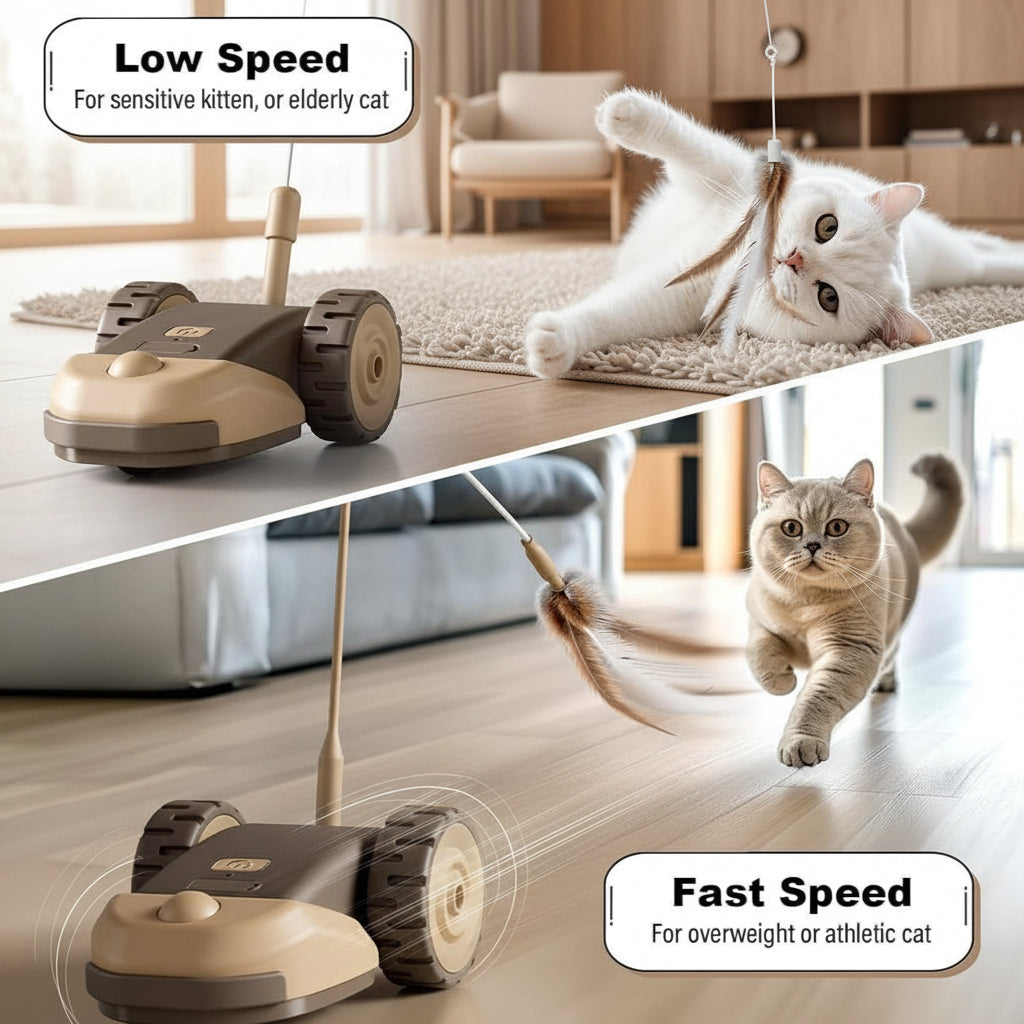 Remote Control Cat Toy Car with Feather Wand for Indoor Cats