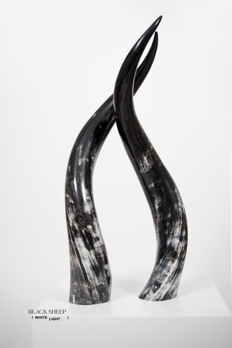 Ankole Dark Decorative Horn Set EX-STOCK Canada