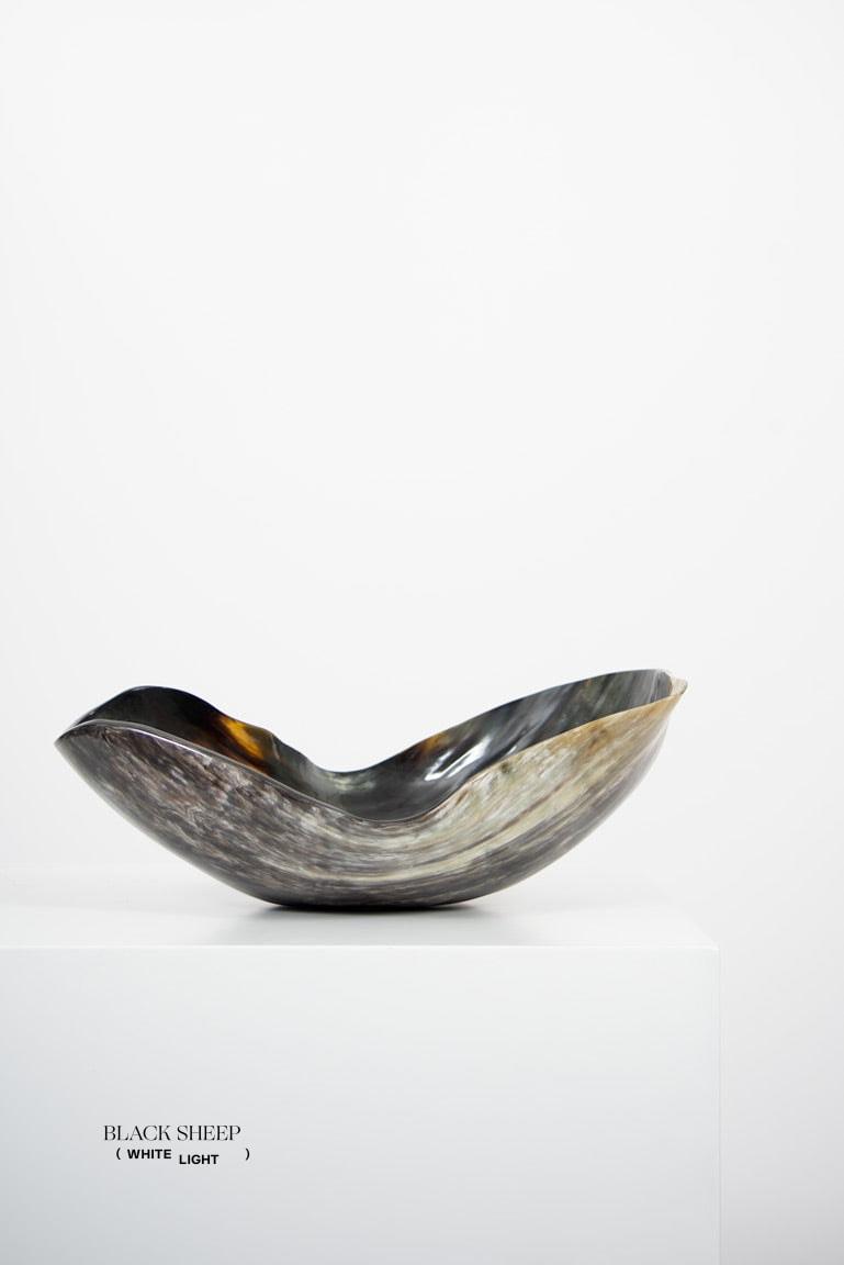 Vaisseau organique sombre à corne Ankole & GyrEX-STOCK Canada