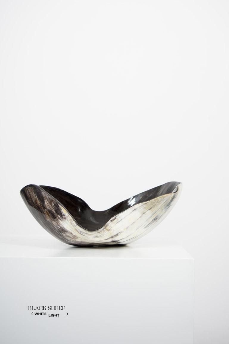 Vaisseau organique sombre à corne Ankole & GyrEX-STOCK Canada