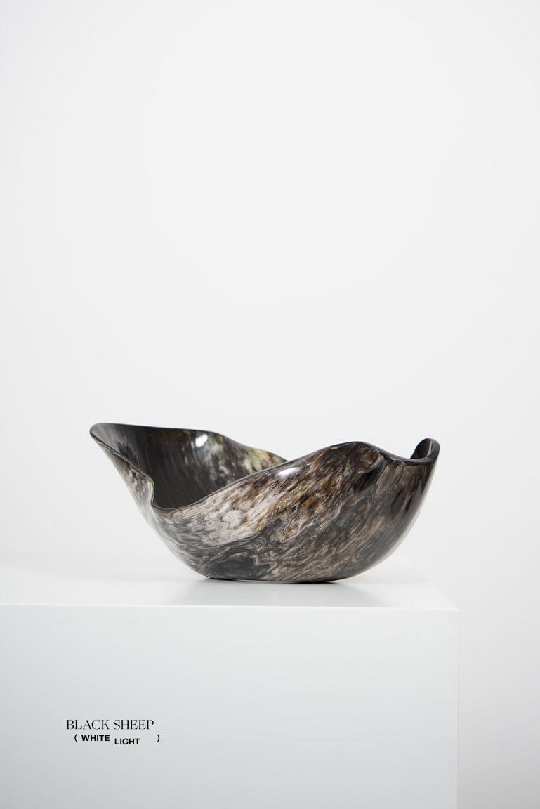 Vaisseau organique sombre à corne Ankole & GyrEX-STOCK Canada