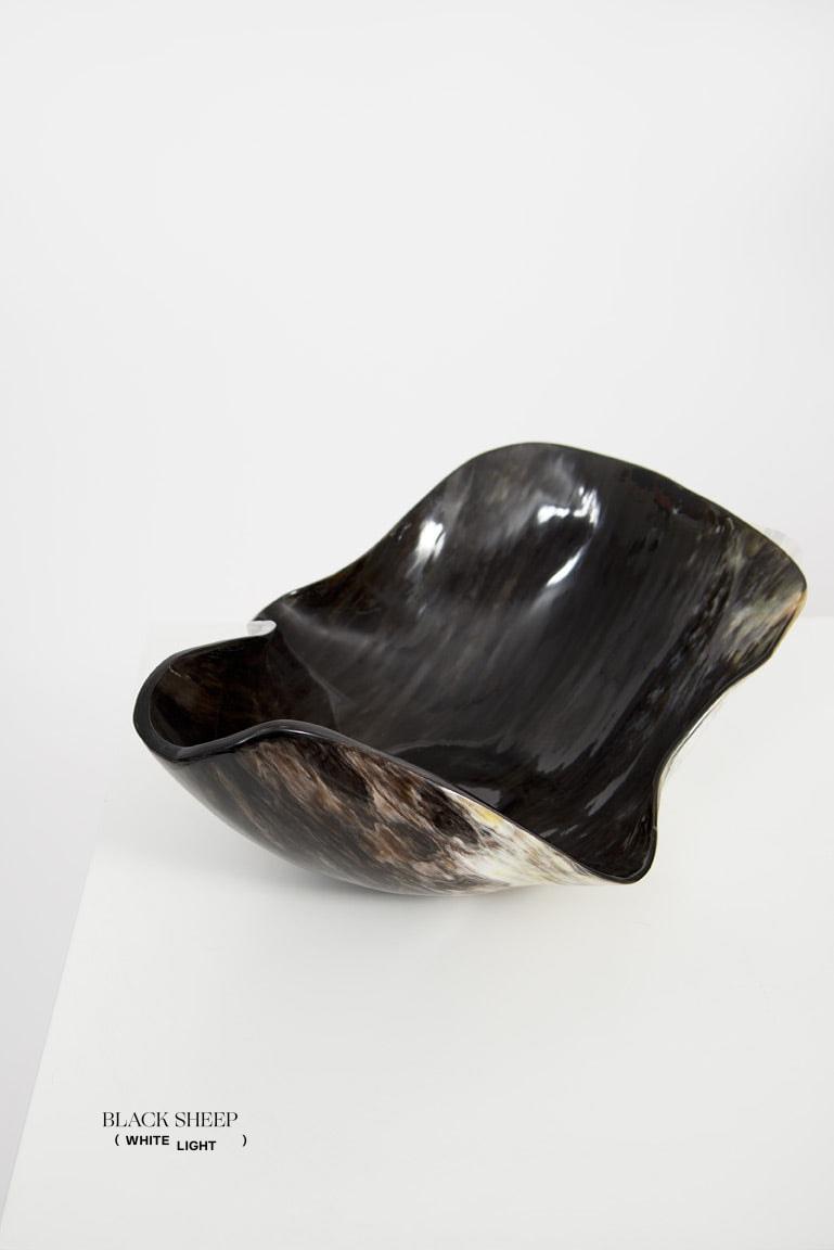 Vaisseau organique sombre à corne Ankole & GyrEX-STOCK Canada