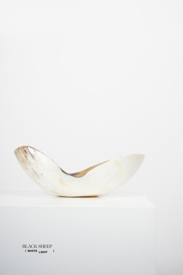 Ankole & Gyr Horn Light Organic Vessel EX-STOCK Canada