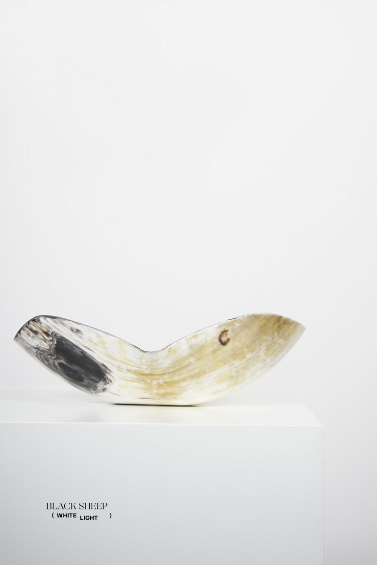 Ankole & Gyr Horn Light Organic Vessel EX-STOCK Canada