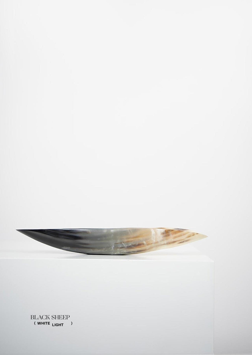Ankole & Gyr Horn Dark Oval Vessel EX-STOCK Canada