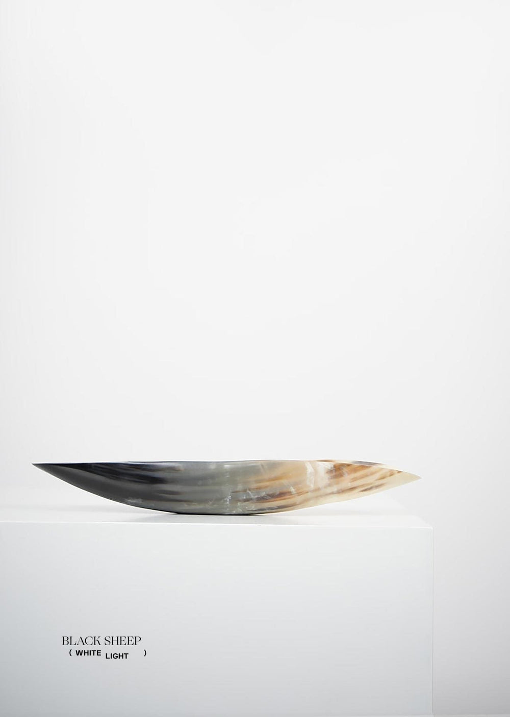 Ankole & Gyr Horn Dark Oval Vessel EX-STOCK Canada