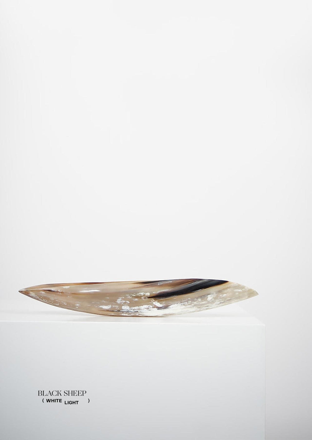 Ankole & Gyr Horn Light Oval Vessel EX-STOCK Canada