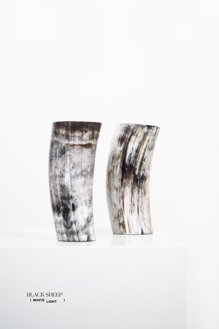 Vaso Scuro con Corna Ankole e GyrEX-STOCK Canada