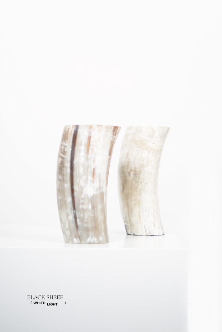 Ankole & Gyr Horn Light Vase EX-STOCK Canada