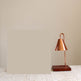 Aromatherapy Diffuser Wax Electric Melt Warmer Safety Yankee Candle Lamp Essential Oil Burner Night Light For Home Bedroom Decor  EX-STOCK CANADA