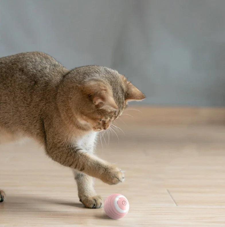 Automatic Moving Bouncing Rolling Ball Smart Cat Toy Ball Self-Moving Kitten Toy For Indoor Cat Kitten EX-STOCK Canada