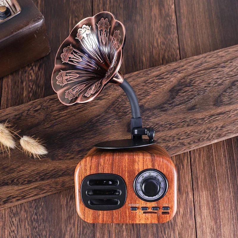 Bluetooth speaker phonograph EX-STOCK Canada