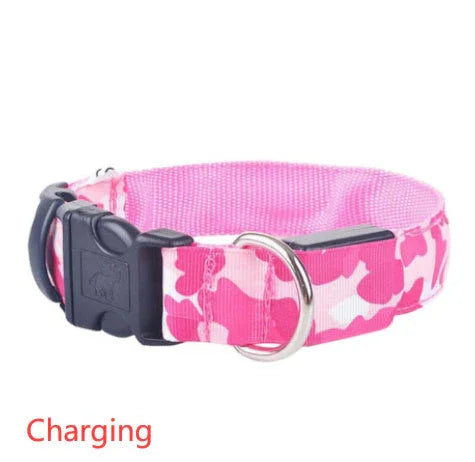 Camouflage pet supplies luminous dog collar EX-STOCK Canada