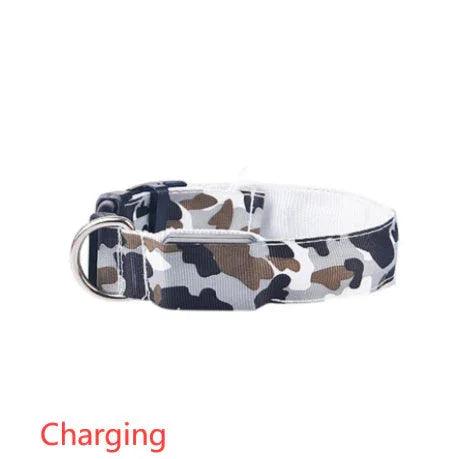Collare luminoso per cani e forniture per animali mimeticoEX-STOCK Canada