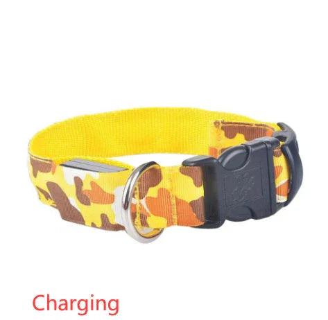 Collare luminoso per cani e forniture per animali mimeticoEX-STOCK Canada