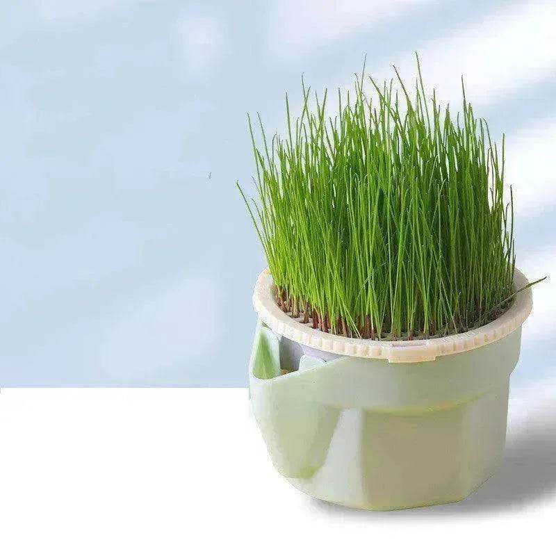 Cat Grass Cup Soilless Hydroponic Seed Spit Hair Ball Snacks - EX-STOCK Canada