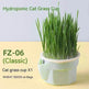 Cat Grass Cup Soilless Hydroponic Seed Spit Hair Ball Snacks - EX-STOCK Canada