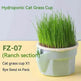 Cat Grass Cup Soilless Hydroponic Seed Spit Hair Ball Snacks - EX-STOCK Canada