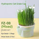 Cat Grass Cup Soilless Hydroponic Seed Spit Hair Ball Snacks - EX-STOCK Canada