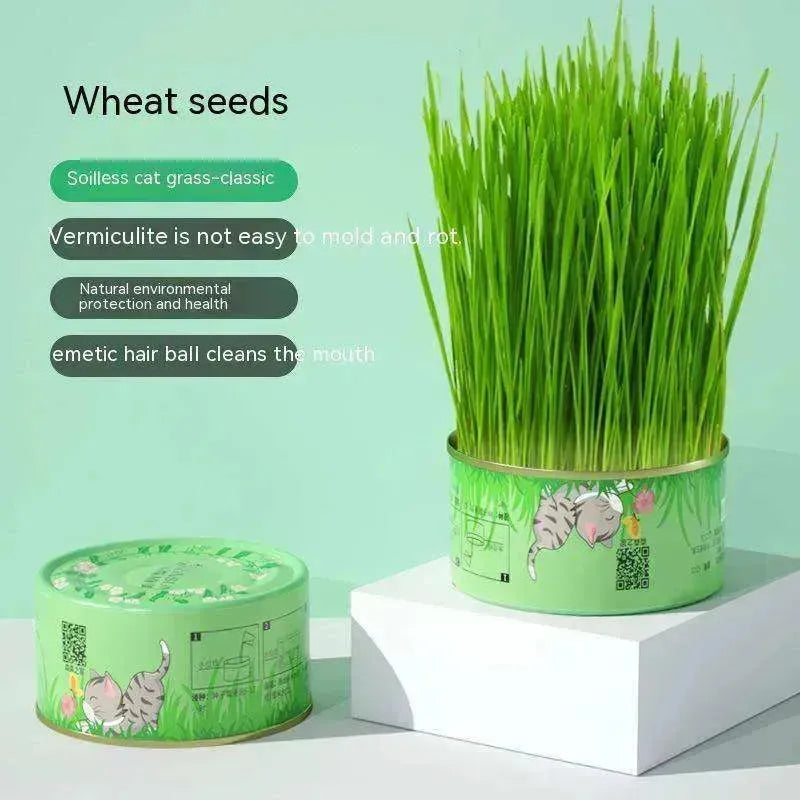 Gobelet d'herbe pour chat Sans terre Hydroponique Graines Craquelins contre les boules de poils - EX-STOCK CANADA