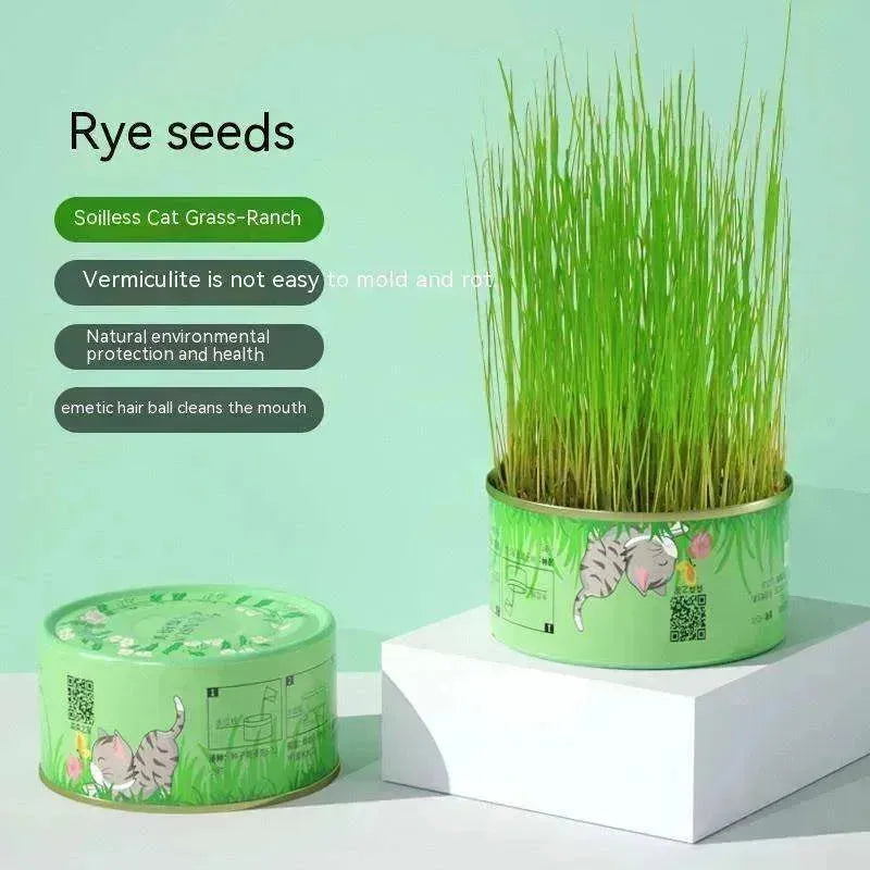 Gobelet d'herbe pour chat Sans terre Hydroponique Graines Craquelins contre les boules de poils - EX-STOCK CANADA
