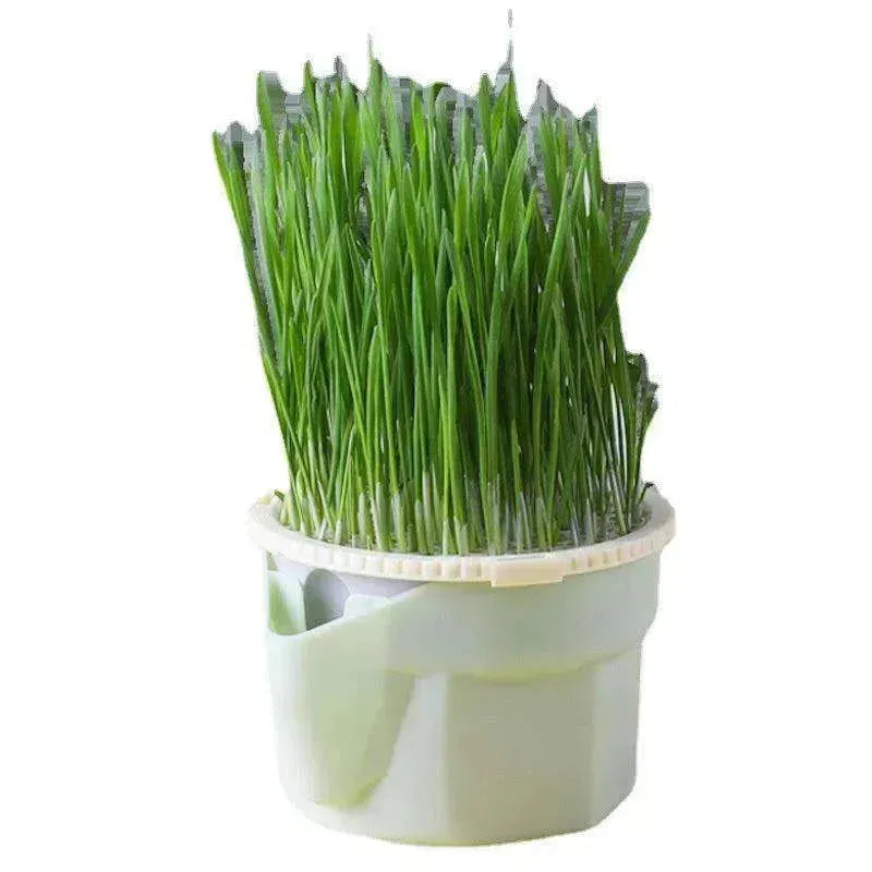 Gobelet d'herbe pour chat Sans terre Hydroponique Graines Craquelins contre les boules de poils - EX-STOCK CANADA
