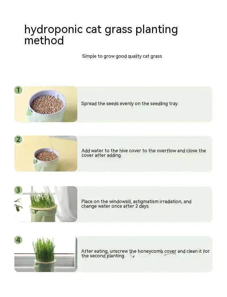 Cat Grass Cup Soilless Hydroponic Seed Spit Hair Ball Snacks - EX-STOCK Canada