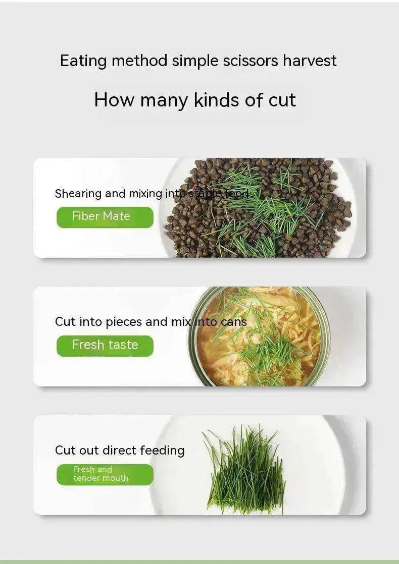 Cat Grass Cup Soilless Hydroponic Seed Spit Hair Ball Snacks - EX-STOCK Canada