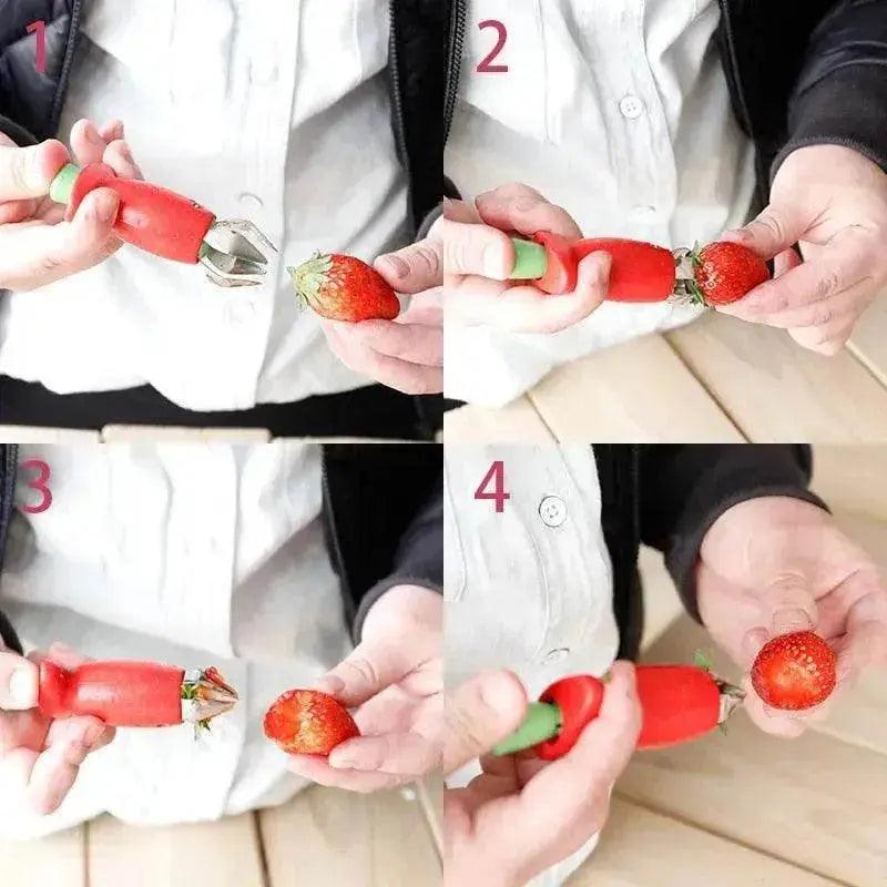 Extractor de fruta de fresa Creative Leaf - EX-STOCK Canada
