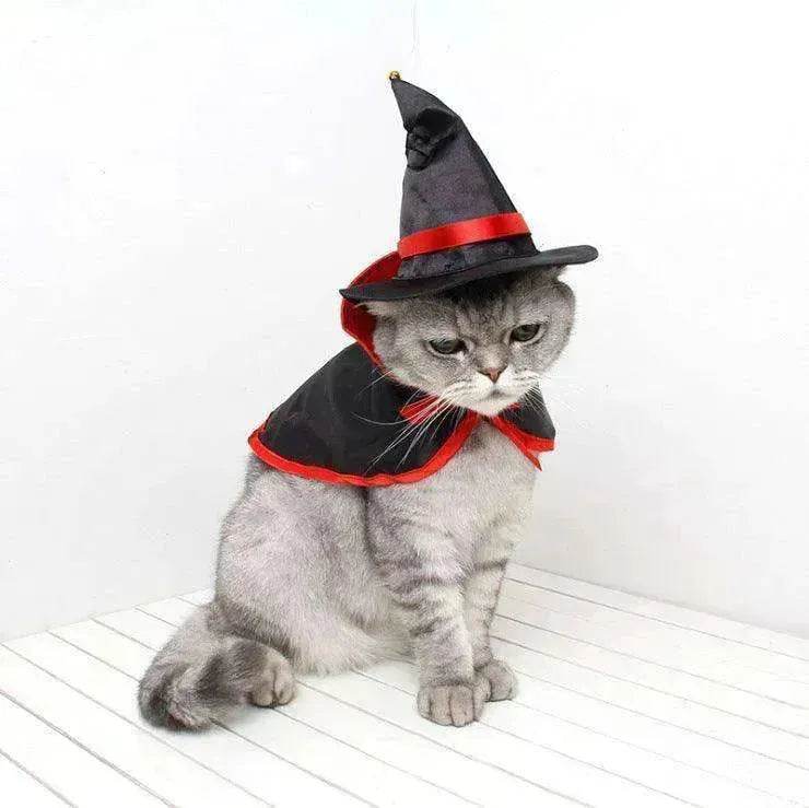 Cross border Halloween Pet Cloak Saint costume - EX-STOCK Canada