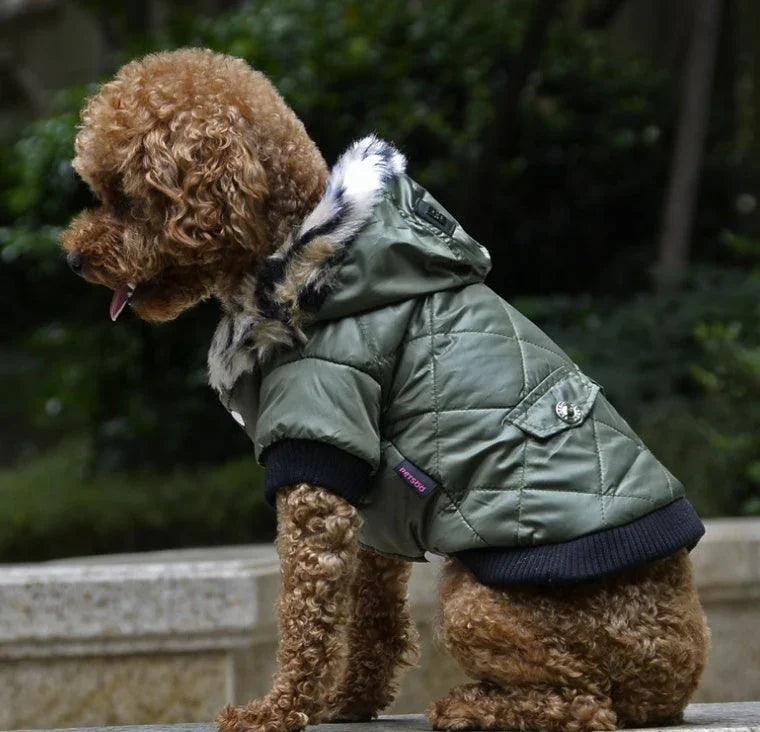 Cross-border pet supplies pet clothes dog clothes autumn and winter fur collar coat pet dog clothing EX-STOCK Canada