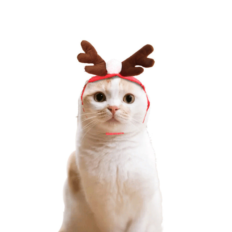Manteau de Noël pour chat et costume mignon de chien, déguisement d'Halloween pour chatEX-STOCK Canada