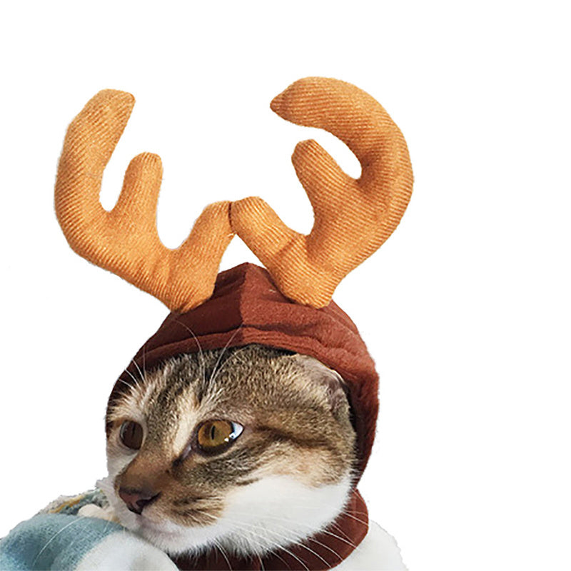 Manteau de Noël pour chat et costume mignon de chien, déguisement d'Halloween pour chatEX-STOCK Canada