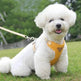 Dog Breast Strap Anti Breaking Loose Pet Harness for the Small Dog - EX-STOCK Canada