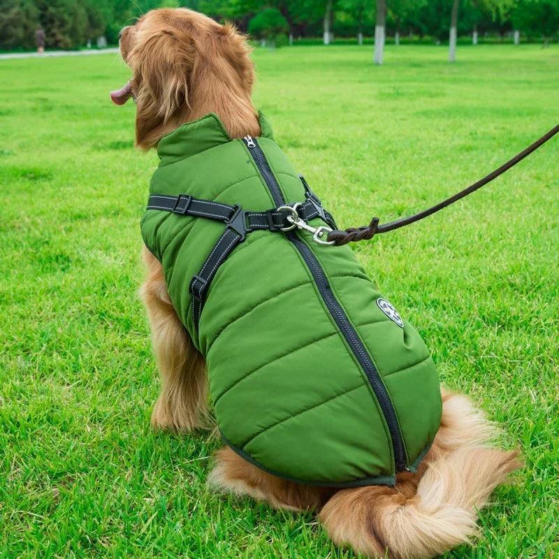 Dog Clothes Chest Back Integrated Cotton Vest Pet Cotton Clothes Winter Clothes EX-STOCK Canada
