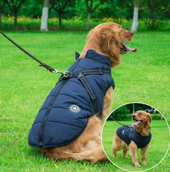 Dog Clothes Chest Back Integrated Cotton Vest Pet Cotton Clothes Winter Clothes EX-STOCK Canada
