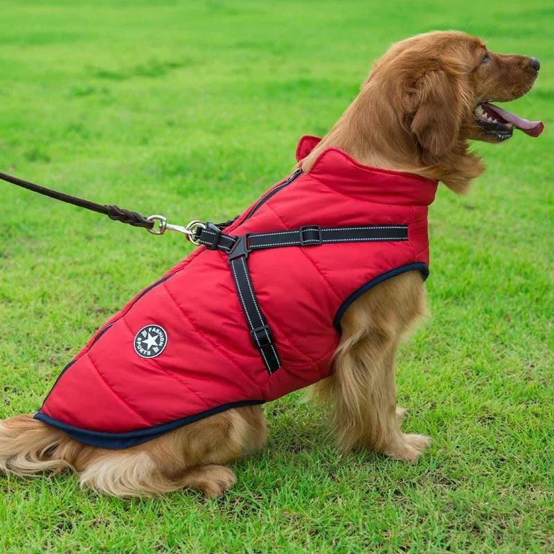 Dog Clothes Chest Back Integrated Cotton Vest Pet Cotton Clothes Winter Clothes EX-STOCK Canada