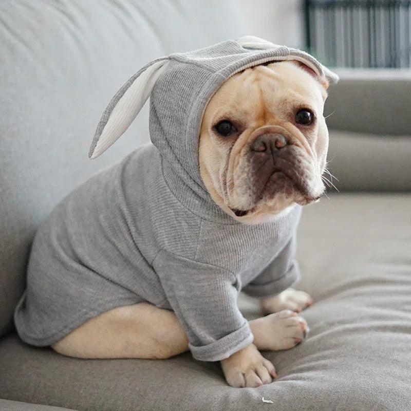 Dog Pet Clothes Spring And Autumn Clothing EX-STOCK Canada