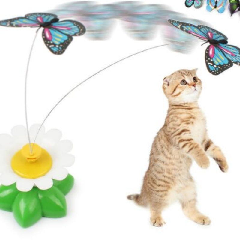 Electric Automatic Rotating Flower Pet Products EX-STOCK Canada