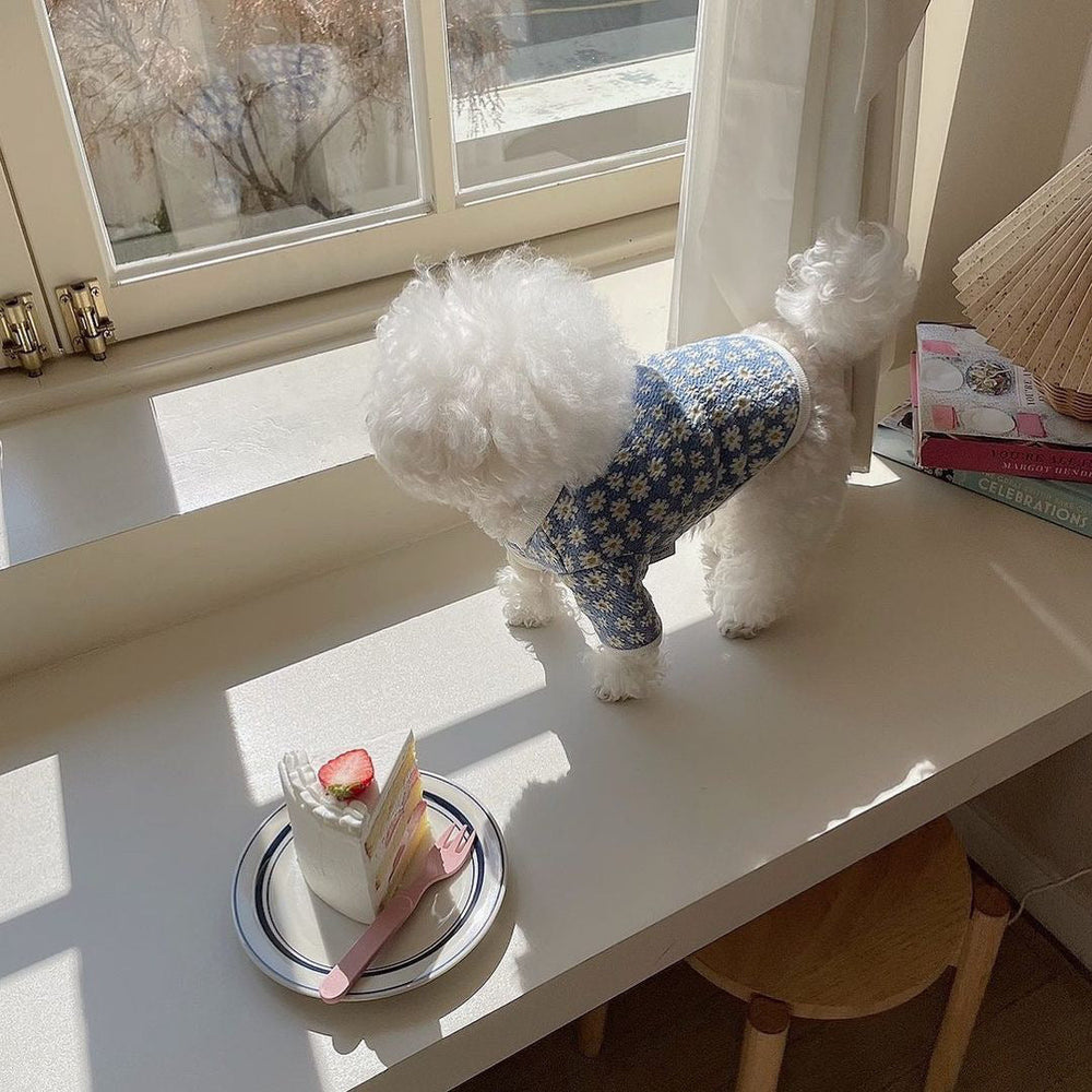 Fashion Cute And Simple Pet Dog Printing Clothes EX-STOCK Canada