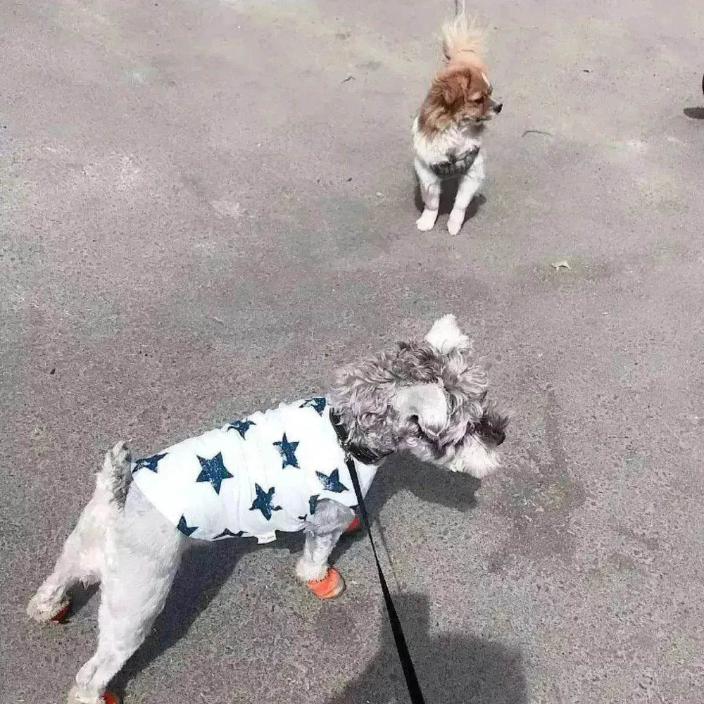 Fashionable Pet Cotton comfy Clothes - EX-STOCK Canada